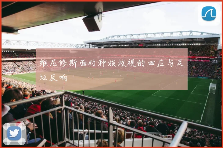 维尼修斯面对种族歧视的回应与足坛反响
